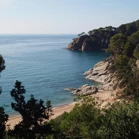 Hébergement de vacances Kerstin Bruns- Casa Evita Amb Piscina *